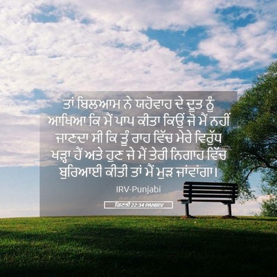 Picture 05 - ਗਿਣਤੀ 22:34 PANIRV - ਤਾਂ ਬਿਲਆਮ ਨੇ - Bible Verse Picture