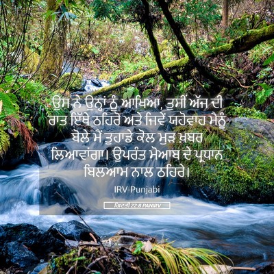 Picture 05 - ਗਿਣਤੀ 22:8 PANIRV - ਉਸ ਨੇ ਉਨ੍ਹਾਂ ਨੂੰ - Bible Verse Picture