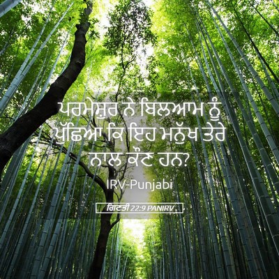 Picture 05 - ਗਿਣਤੀ 22:9 PANIRV - ਪਰਮੇਸ਼ੁਰ ਨੇ ਬਿਲਆਮ - Bible Verse Picture