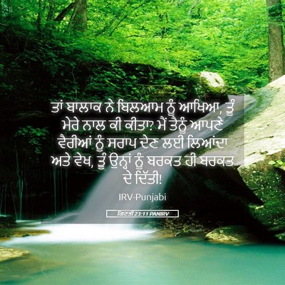 Picture 05 - ਗਿਣਤੀ 23:11 PANIRV - ਤਾਂ ਬਾਲਾਕ ਨੇ ਬਿਲਆਮ - Bible Verse Picture