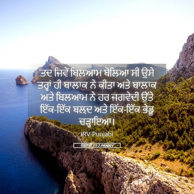 Picture 05 - ਗਿਣਤੀ 23:2 PANIRV - ਤਦ ਜਿਵੇਂ ਬਿਲਆਮ - Bible Verse Picture