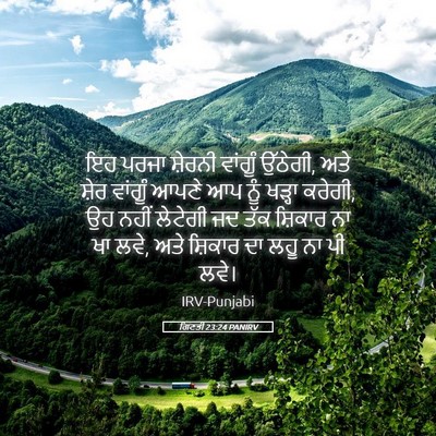 Picture 05 - ਗਿਣਤੀ 23:24 PANIRV - ਇਹ ਪਰਜਾ ਸ਼ੇਰਨੀ - Bible Verse Picture
