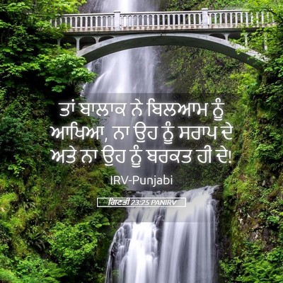 Picture 05 - ਗਿਣਤੀ 23:25 PANIRV - ਤਾਂ ਬਾਲਾਕ ਨੇ ਬਿਲਆਮ - Bible Verse Picture