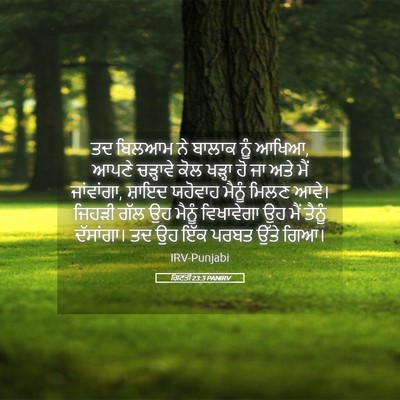 Picture 05 - ਗਿਣਤੀ 23:3 PANIRV - ਤਦ ਬਿਲਆਮ ਨੇ ਬਾਲਾਕ - Bible Verse Picture
