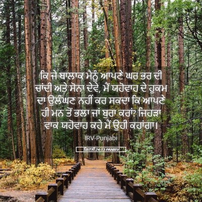 Picture 05 - ਗਿਣਤੀ 24:13 PANIRV - ਕਿ ਜੇ ਬਾਲਾਕ ਮੈਨੂੰ - Bible Verse Picture