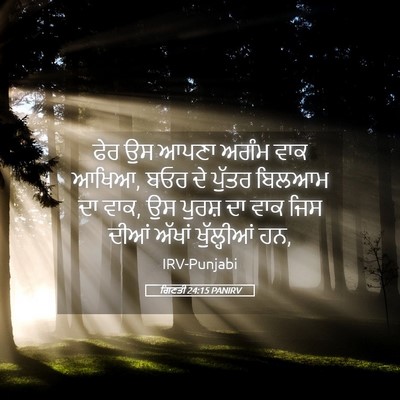 Picture 05 - ਗਿਣਤੀ 24:15 PANIRV - ਫੇਰ ਉਸ ਆਪਣਾ ਅਗੰਮ - Bible Verse Picture