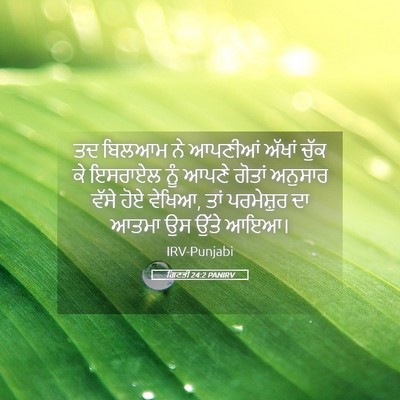 Picture 05 - ਗਿਣਤੀ 24:2 PANIRV - ਤਦ ਬਿਲਆਮ ਨੇ ਆਪਣੀਆਂ - Bible Verse Picture