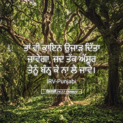 Picture 05 - ਗਿਣਤੀ 24:22 PANIRV - ਤਾਂ ਵੀ ਕਾਇਨ ਉਜਾੜ - Bible Verse Picture