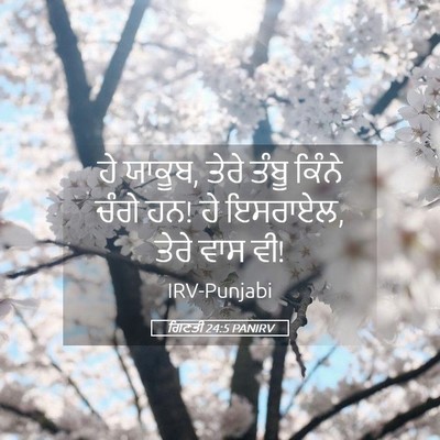 Picture 05 - ਗਿਣਤੀ 24:5 PANIRV - ਹੇ ਯਾਕੂਬ, ਤੇਰੇ ਤੰਬੂ - Bible Verse Picture