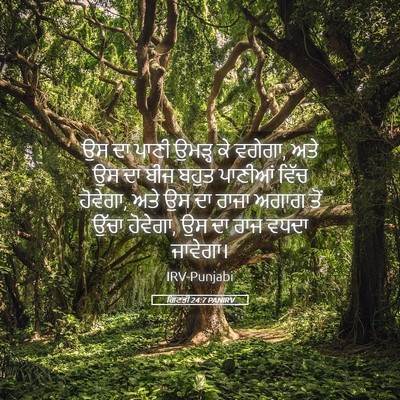 Picture 05 - ਗਿਣਤੀ 24:7 PANIRV - ਉਸ ਦਾ ਪਾਣੀ ਉਮੜ੍ਹ ਕੇ - Bible Verse Picture
