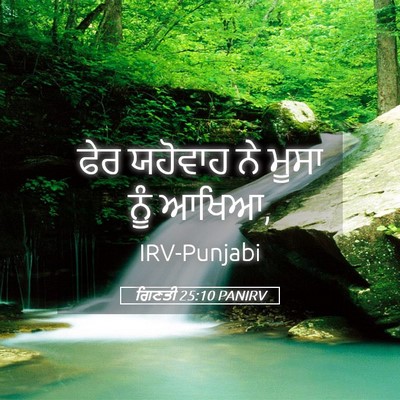 Picture 05 - ਗਿਣਤੀ 25:10 PANIRV - ਫੇਰ ਯਹੋਵਾਹ ਨੇ ਮੂਸਾ - Bible Verse Picture