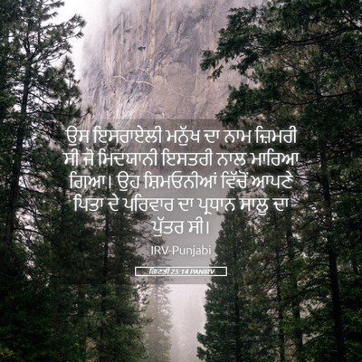 Picture 05 - ਗਿਣਤੀ 25:14 PANIRV - ਉਸ ਇਸਰਾਏਲੀ ਮਨੁੱਖ - Bible Verse Picture