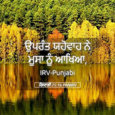 Picture 05 - ਗਿਣਤੀ 25:16 PANIRV - ਉਪਰੰਤ ਯਹੋਵਾਹ ਨੇ - Bible Verse Picture