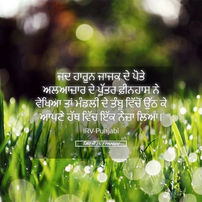 Picture 05 - ਗਿਣਤੀ 25:7 PANIRV - ਜਦ ਹਾਰੂਨ ਜਾਜਕ ਦੇ - Bible Verse Picture
