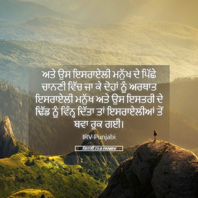 Picture 05 - ਗਿਣਤੀ 25:8 PANIRV - ਅਤੇ ਉਸ ਇਸਰਾਏਲੀ - Bible Verse Picture