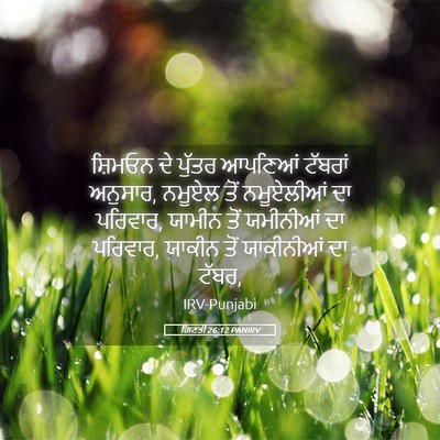 Picture 05 - ਗਿਣਤੀ 26:12 PANIRV - ਸ਼ਿਮਓਨ ਦੇ ਪੁੱਤਰ - Bible Verse Picture