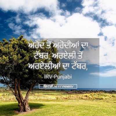 Picture 05 - ਗਿਣਤੀ 26:17 PANIRV - ਅਰੋਦ ਤੋਂ ਅਰੋਦੀਆਂ - Bible Verse Picture