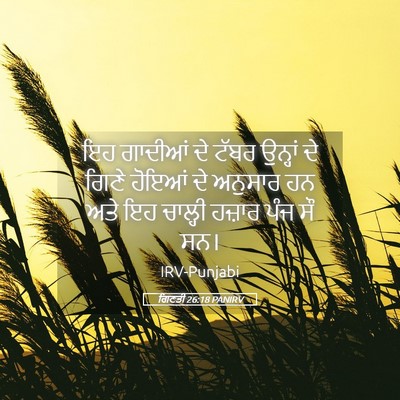 Picture 05 - ਗਿਣਤੀ 26:18 PANIRV - ਇਹ ਗਾਦੀਆਂ ਦੇ ਟੱਬਰ - Bible Verse Picture