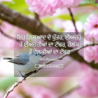 Picture 05 - ਗਿਣਤੀ 26:30 PANIRV - ਇਹ ਗਿਲਆਦ ਦੇ ਪੁੱਤਰ, - Bible Verse Picture