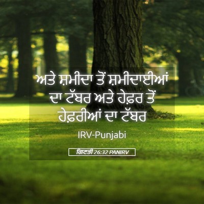 Picture 05 - ਗਿਣਤੀ 26:32 PANIRV - ਅਤੇ ਸ਼ਮੀਦਾ ਤੋਂ - Bible Verse Picture
