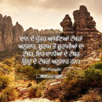 Picture 05 - ਗਿਣਤੀ 26:42 PANIRV - ਦਾਨ ਦੇ ਪੁੱਤਰ - Bible Verse Picture