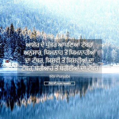 Picture 05 - ਗਿਣਤੀ 26:44 PANIRV - ਆਸ਼ੇਰ ਦੇ ਪੁੱਤਰ - Bible Verse Picture