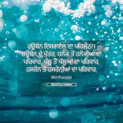 Picture 05 - ਗਿਣਤੀ 26:5 PANIRV - ਰਊਬੇਨ ਇਸਰਾਏਲ ਦਾ - Bible Verse Picture