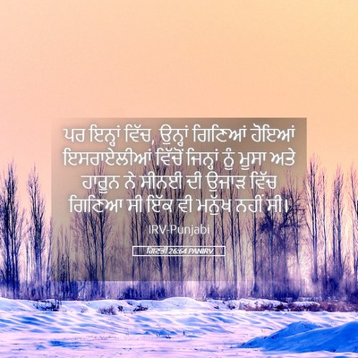 Picture 05 - ਗਿਣਤੀ 26:64 PANIRV - ਪਰ ਇਨ੍ਹਾਂ ਵਿੱਚ, - Bible Verse Picture