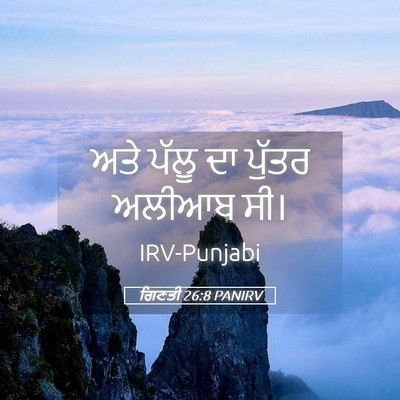 Picture 05 - ਗਿਣਤੀ 26:8 PANIRV - ਅਤੇ ਪੱਲੂ ਦਾ ਪੁੱਤਰ - Bible Verse Picture