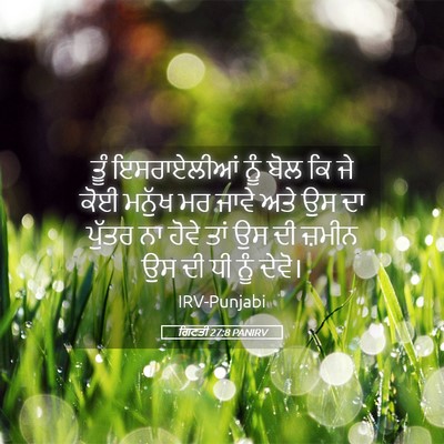 Picture 05 - ਗਿਣਤੀ 27:8 PANIRV - ਤੂੰ ਇਸਰਾਏਲੀਆਂ ਨੂੰ - Bible Verse Picture