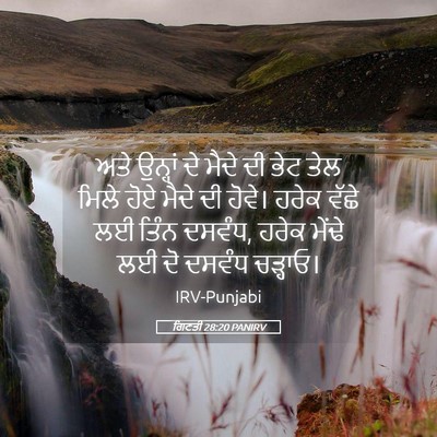 Picture 05 - ਗਿਣਤੀ 28:20 PANIRV - ਅਤੇ ਉਨ੍ਹਾਂ ਦੇ ਮੈਦੇ - Bible Verse Picture