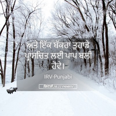 Picture 05 - ਗਿਣਤੀ 28:22 PANIRV - ਅਤੇ ਇੱਕ ਬੱਕਰਾ - Bible Verse Picture