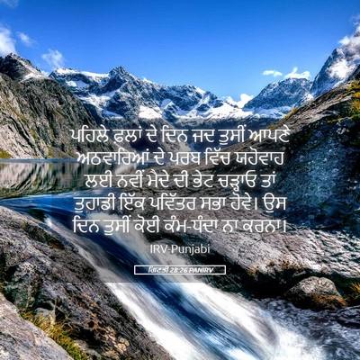 Picture 05 - ਗਿਣਤੀ 28:26 PANIRV - ਪਹਿਲੇ ਫ਼ਲਾਂ ਦੇ ਦਿਨ - Bible Verse Picture
