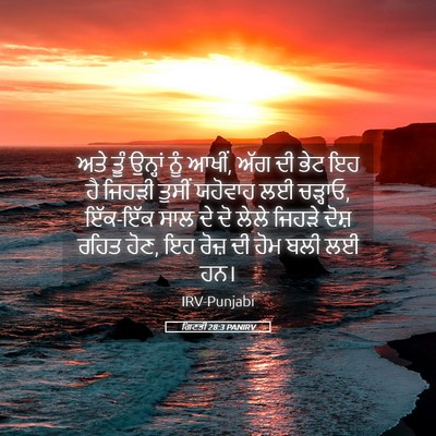 Picture 05 - ਗਿਣਤੀ 28:3 PANIRV - ਅਤੇ ਤੂੰ ਉਨ੍ਹਾਂ ਨੂੰ - Bible Verse Picture