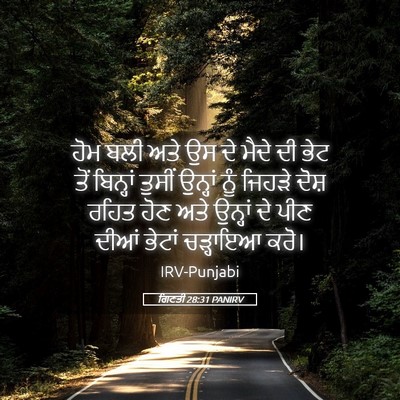 Picture 05 - ਗਿਣਤੀ 28:31 PANIRV - ਹੋਮ ਬਲੀ ਅਤੇ ਉਸ ਦੇ - Bible Verse Picture