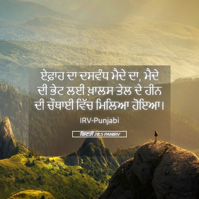 Picture 05 - ਗਿਣਤੀ 28:5 PANIRV - ਏਫ਼ਾਹ ਦਾ ਦਸਵੰਧ - Bible Verse Picture