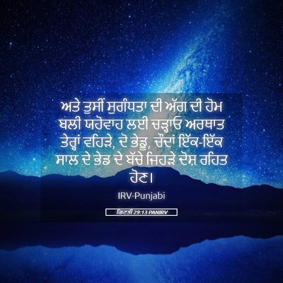 Picture 05 - ਗਿਣਤੀ 29:13 PANIRV - ਅਤੇ ਤੁਸੀਂ ਸੁਗੰਧਤਾ - Bible Verse Picture