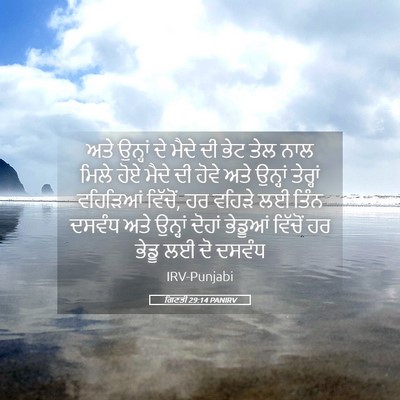 Picture 05 - ਗਿਣਤੀ 29:14 PANIRV - ਅਤੇ ਉਨ੍ਹਾਂ ਦੇ ਮੈਦੇ - Bible Verse Picture