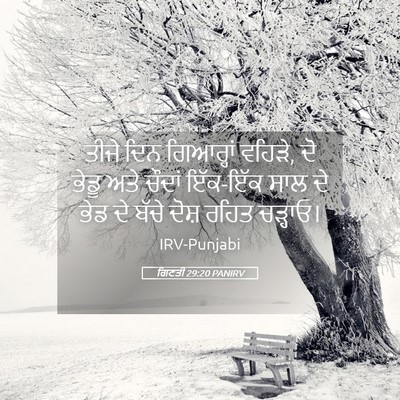 Picture 05 - ਗਿਣਤੀ 29:20 PANIRV - ਤੀਜੇ ਦਿਨ ਗਿਆਰ੍ਹਾਂ - Bible Verse Picture