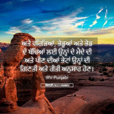 Picture 05 - ਗਿਣਤੀ 29:21 PANIRV - ਅਤੇ ਵਹਿੜਿਆਂ, - Bible Verse Picture