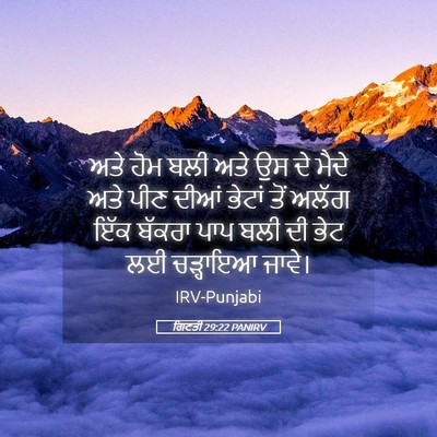 Picture 05 - ਗਿਣਤੀ 29:22 PANIRV - ਅਤੇ ਹੋਮ ਬਲੀ ਅਤੇ ਉਸ - Bible Verse Picture