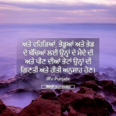 Picture 05 - ਗਿਣਤੀ 29:27 PANIRV - ਅਤੇ ਵਹਿੜਿਆਂ, - Bible Verse Picture