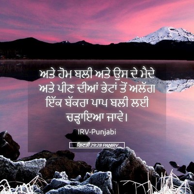 Picture 05 - ਗਿਣਤੀ 29:28 PANIRV - ਅਤੇ ਹੋਮ ਬਲੀ ਅਤੇ ਉਸ - Bible Verse Picture