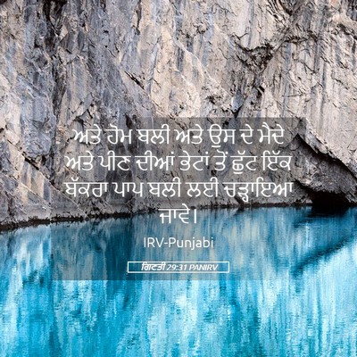 Picture 05 - ਗਿਣਤੀ 29:31 PANIRV - ਅਤੇ ਹੋਮ ਬਲੀ ਅਤੇ ਉਸ - Bible Verse Picture