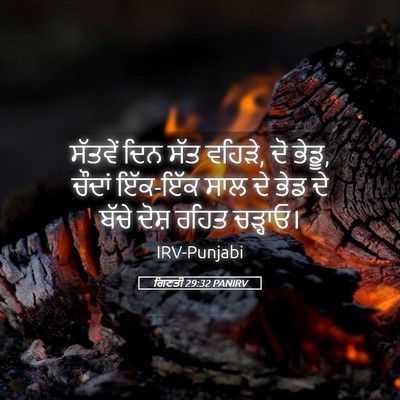 Picture 05 - ਗਿਣਤੀ 29:32 PANIRV - ਸੱਤਵੇਂ ਦਿਨ ਸੱਤ - Bible Verse Picture