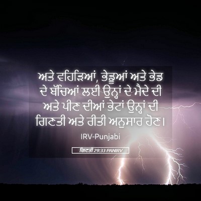 Picture 05 - ਗਿਣਤੀ 29:33 PANIRV - ਅਤੇ ਵਹਿੜਿਆਂ, - Bible Verse Picture