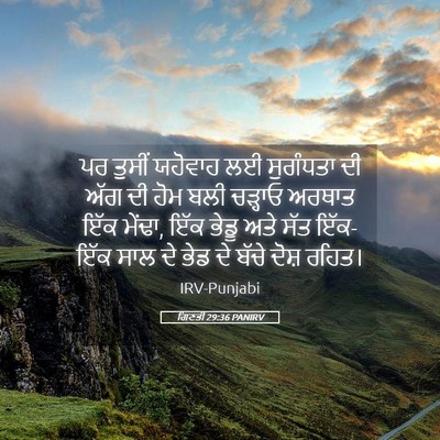Picture 05 - ਗਿਣਤੀ 29:36 PANIRV - ਪਰ ਤੁਸੀਂ ਯਹੋਵਾਹ ਲਈ - Bible Verse Picture
