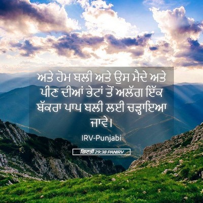 Picture 05 - ਗਿਣਤੀ 29:38 PANIRV - ਅਤੇ ਹੋਮ ਬਲੀ ਅਤੇ ਉਸ - Bible Verse Picture