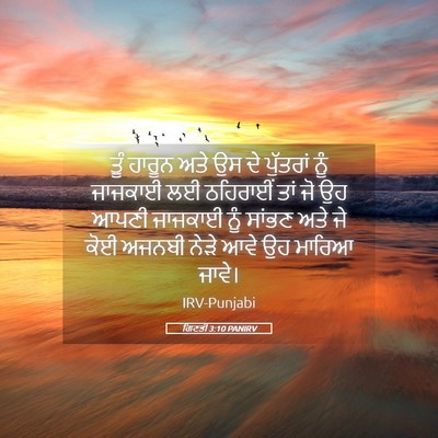 Picture 05 - ਗਿਣਤੀ 3:10 PANIRV - ਤੂੰ ਹਾਰੂਨ ਅਤੇ ਉਸ ਦੇ - Bible Verse Picture