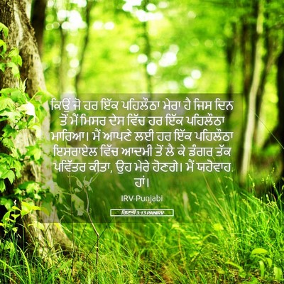 Picture 05 - ਗਿਣਤੀ 3:13 PANIRV - ਕਿਉਂ ਜੋ ਹਰ ਇੱਕ - Bible Verse Picture